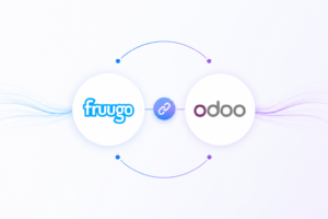 Fruugo Marketplace Integration | Odoo Fruugo Connector | Fruugo Product Feed
