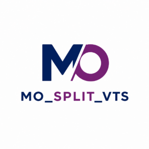 Split Manufacturing Order